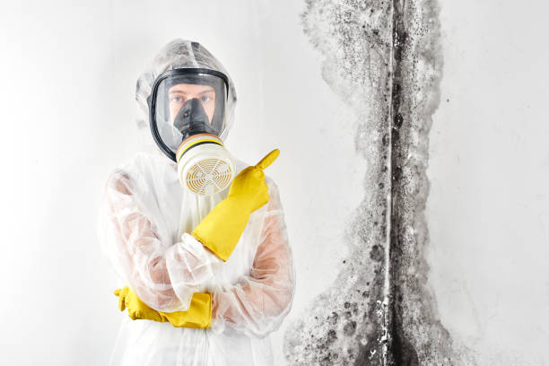 Best Residential Mold Inspection & Testing  in Mentone, IN